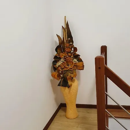 Apartamento Casa Dos Arcos Aveiro