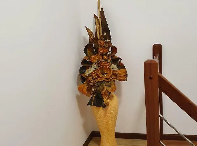 アパート Casa Dos Arcos アヴェイロ